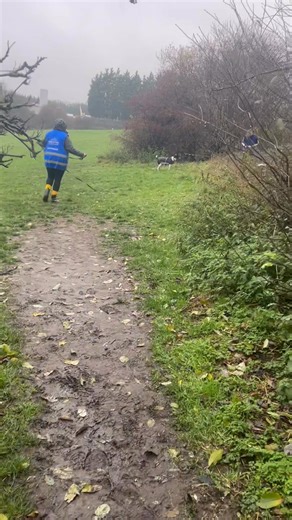 Meet Team Gherkin! They always complete their mission… at speed.. no matter the weather ️ #mantrailing #dogtrainingfun #forcefreedogtraining #clevergirl | Barkleys Dog Training Academy | Facebook