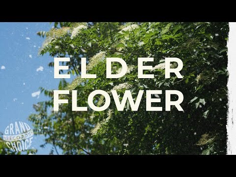 Elder Flower Visualizer