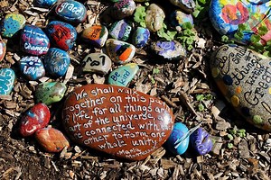 Seton Montessori School (2026 Profile) - Clarendon Hills, IL