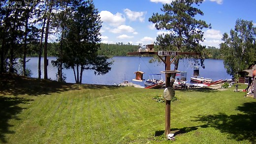 Superior National Forest Live Webcam - Ely, Minnesota