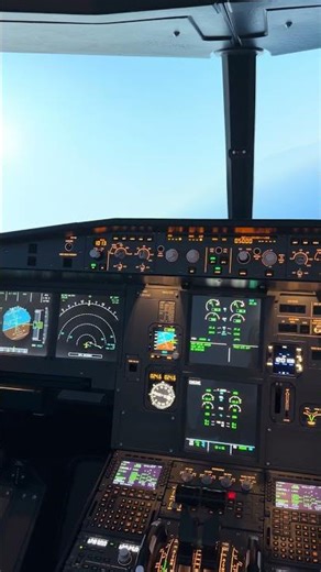 Airbus A320 cockpit - Inside the Flight Sim