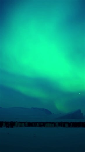 Whether you’re watching the aurora borealis in the north or the aurora australis in the south, you’re seeing the same spectacle, caused by the solar wind hitting the Earth's magnetic field and producing currents of ions. Those ions collide with gas atoms in the atmosphere, creating extra energy that's released as photons. The result? Beautiful, cascading bands of light in the sky. #HostilePlanet is now streaming on Disney . | National Geographic Science