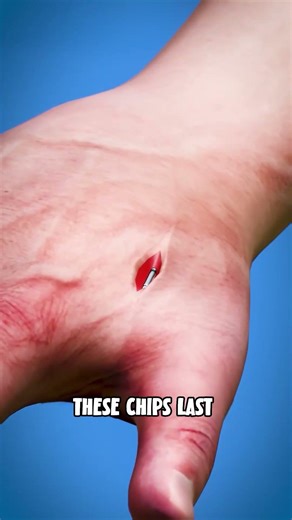 How Microchips Works
