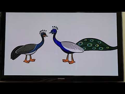 Babyfirst safari scrapbook peacock