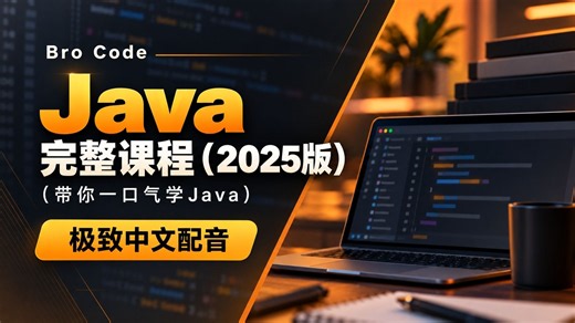 【极致中文配音】Bro Code：Java 完整（2025版）