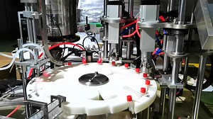 双头试剂灌装机 双工位采样管灌装机