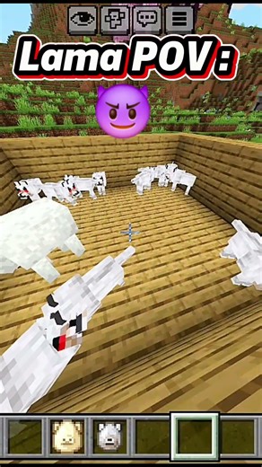Lamas scared wolf in minecraft