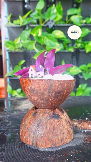 DIY Natural planter | ASMR Gardening