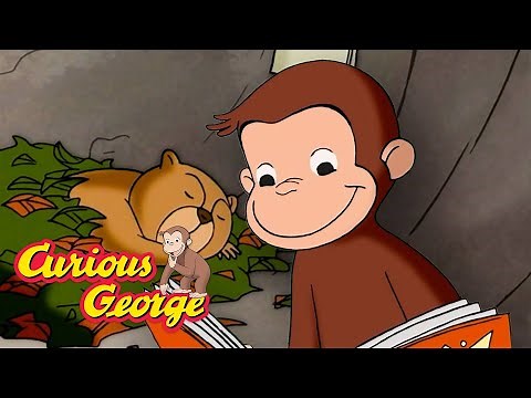 A Whistlepig Wednesday! 🐵 Curious George 🐵 Kids Cartoon 🐵 Kids Movies