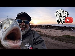 Solo Mission, variety of rewards