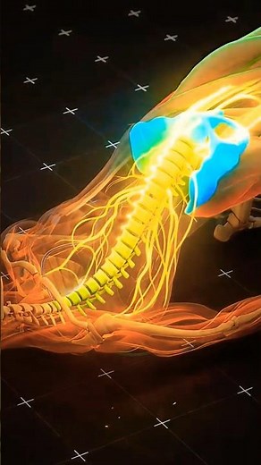 😱Lower Back Pain Relief in 30 Seconds! 🔥 Simple Glute Bridge Exercise #shorts
