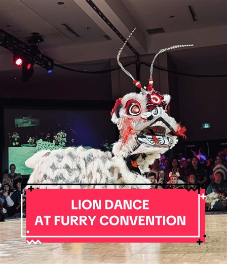 lion dance at a furry convention?? This lion is actually part of a cultural character design project for my university… we were supposed to present or perform with it. So naturally, whats a good stage with awesome audience, definitely VF):3 #vancoufur #vancoufur2026 #furryfandom #fursuitmaker #fursuiter