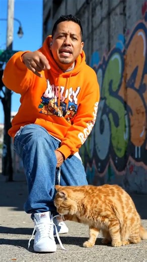 Rap battle between dog and cat #shorts #ytshorts #trending #viral #funnybeing29 #youtubeshorts