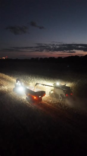 2.6K views · 554 reactions | #harvest2025 #sunset #lights #farmingafterdark | Ivers Farms | Facebook