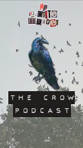 10K views · 308 reactions | Welcome to our new podcast "My Favorite Murder...of Crows!" | My Favorite Murder | Facebook