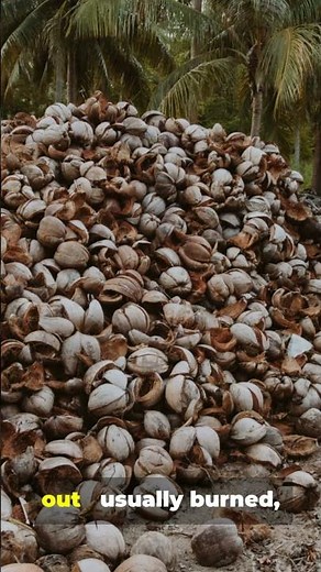 How Coconut Shells Could Save Our Planet 🌍🥥