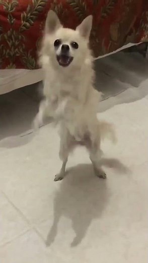 WHAT'S WRONG WITH THE LITTLE GIRL?