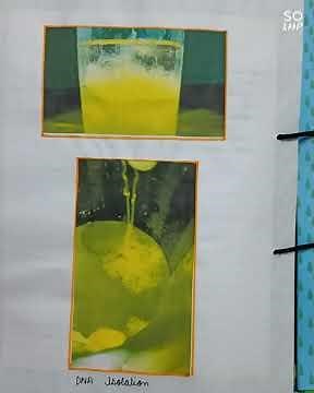 CBSE class 12 BIOLOGY project- BIOTECHNOLOGY PRINCIPLES & PROCESSES