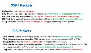 8. ISIS LSP Types and Database Exchange - RAYKA (are you a network engineer?)