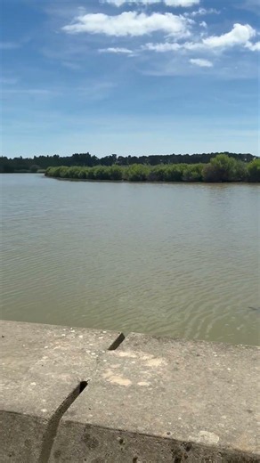 Pêche à la carpe #carpe #fishing #carpfishing
