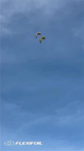 3.2K views · 97 reactions |  6’ Chequered Kite Flag Stack Test  ...