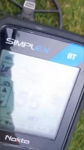 Nokta Simplex BT showing it's worth. #simplex