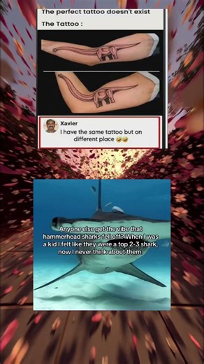 Memes That Make You Go “Why Did I Laugh?”