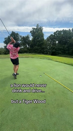 Tiger woods can drive but he definitely can’t DRIVE #tigerwoods #golf