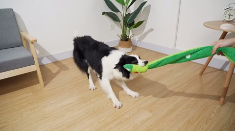 Pet Deluxe Squeak Dog Toys Stress Release Game for Boredom, Dog Puzzle Toy IQ Training, Dog Snuffle Toys Foraging Instinct Training Suitable for Small Medium and Large Dogs