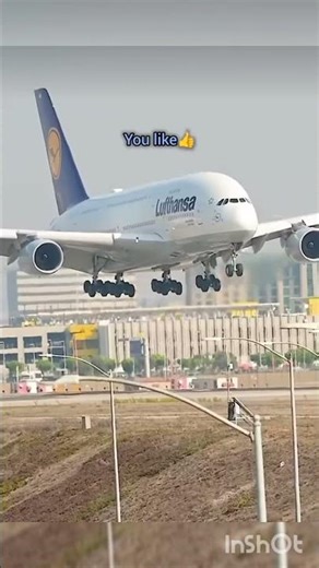 your plane if