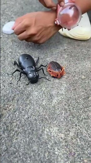Remote control cockroach🪳with rc ant 🐜 unboxing karlm