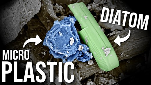 I extracted microplastics from a lake using olive oil