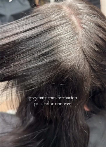 Grey Hair Transformation: Color Remover Techniques