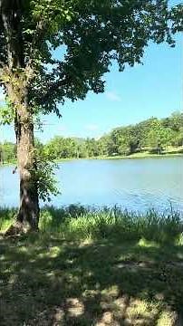 Walking Salem City Park in Arkansas | Beautiful Lake, Scenic Trail & Small-Town Charm