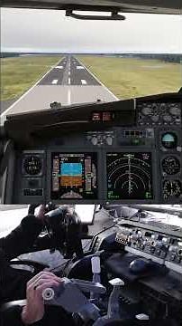 PMDG 737 Landing EDLV | MSFS 2024 #msfs2024 #aviation #pmdg #pilotlife #cockpit #landing #airport