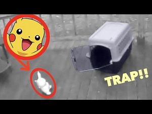 I CAPTURED PIKACHU IN REAL LIFE! *We Trapped Him!*