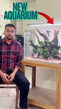 Made by Mayur Dev - Mr. Sameer got his Aquascape, Do you also Want an Aquascape Made By Mayur Dev?