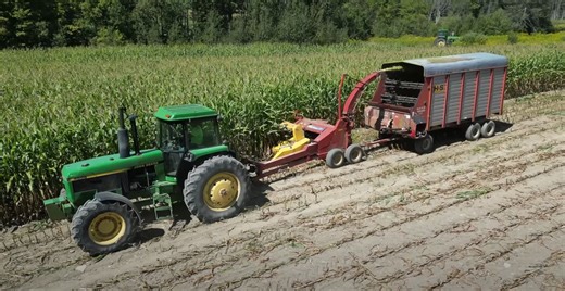Mikep7810 -- Starting the 2025 corn silage season chopping a couple fields of corn and storing the silage in our sealstor silo on our upstate New York dairy farm. Chopping with a New Holland FP240 pulled by a John Deere 4555