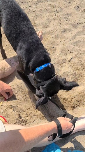 Patty Matthews Thomas on Reels