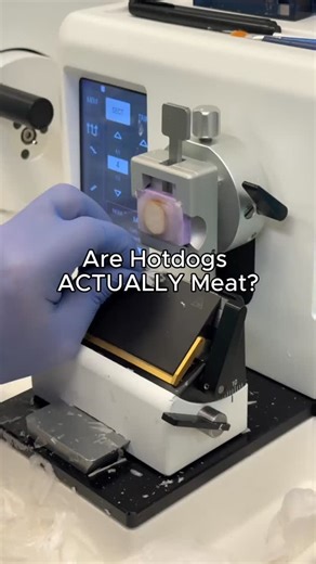 Milestone Medical USA on Instagram: "Are hotdogs actually meat? Today we're testing this through the lens of a histotech. We purchased hotdogs and put them through processing, then analyzed under the microscope to see what we could find. We aren't able to draw many conclusions, after all, this is a VERY small sample of just one hotdog- but it was still an interesting experiment! #hotdogs #foodscience #histology #pathology #microtome"