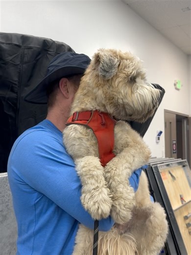 Amazon Pools and Spas on Reels