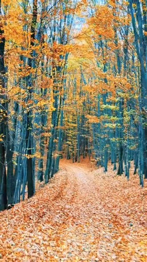 Martin Ignác on Reels