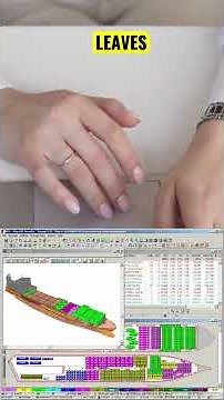 The Invisible Backbone: Uncovering Port Operations' Unsung Heroes