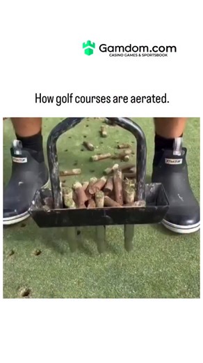 education.decodee01 on Instagram: "The instagram post shares a short video demonstrating golf course aeration, showing workers using a machine to extract soil plugs from the turf, remove them with rakes, fill the holes with sand, brush it in, and water the surface to settle it. This process relieves soil compaction, improves root growth and nutrient uptake, and enhances drainage, a practice recommended annually by turf experts to sustain healthy greens, as evidenced in studies from the Golf Cour
