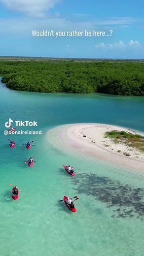 We know that Bonaire will be your next vacation destination 😏🏝️ Learn more about the island here: www.bonaireisland.com #bonaireisland #bonaire #itsinournature