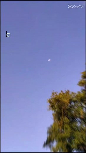 Exploring Scenic Outdoor Views of Trees and Nature