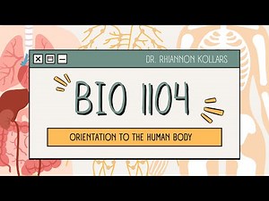 BIO 1104: Orientation to the Human Body