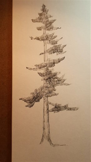Pine Tree Drawing #satisfying #shorts