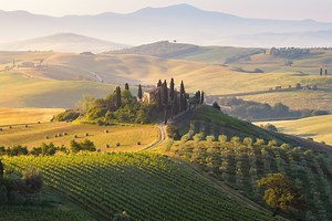 A Snob’s Guide to Tuscany