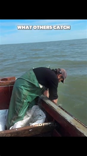 The Last Guy Caught a 1 in 2,000,000 Blue Lobster